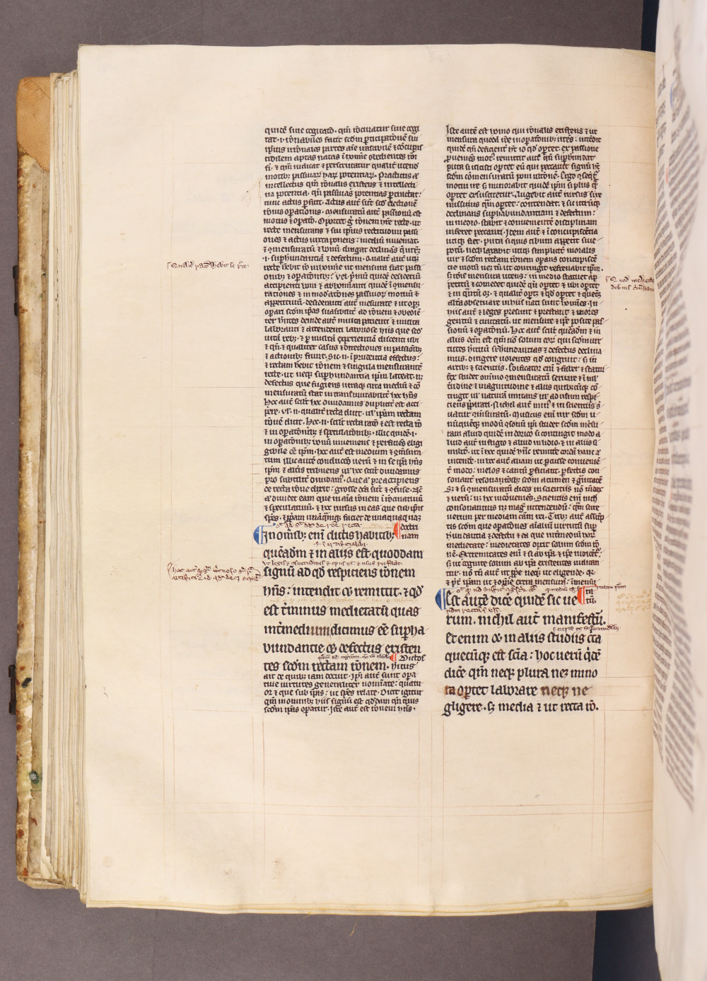 Folio 116 verso